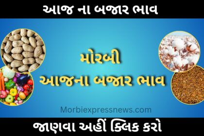 morbi market yard bhav